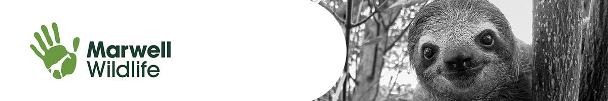 Marwell-Case-Study-Image