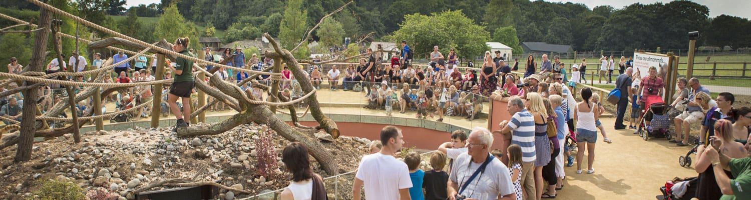coati-enclosure-wide