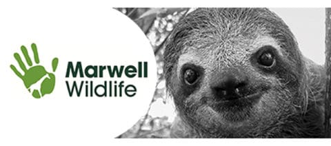 Marwell-small-2