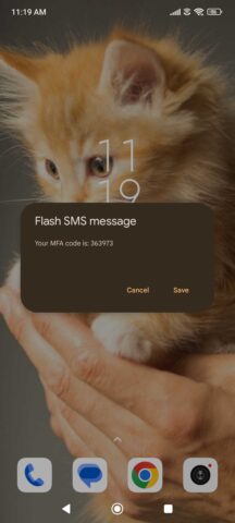 SMSEagle - Flash SMS Screenshot
