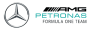 Mercedes AMG Petronas F1 Logo 300x100