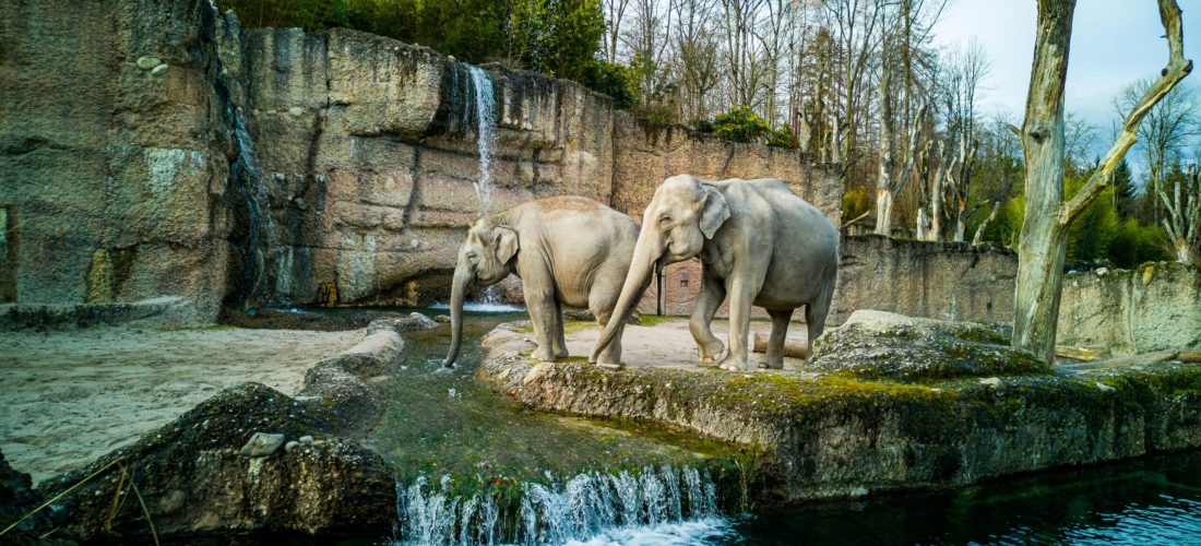 b-nw-8uJ0Am-ZdTA-unsplash